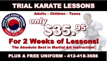 Karate in the South Hills