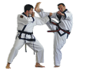 Professional Karate Instructr